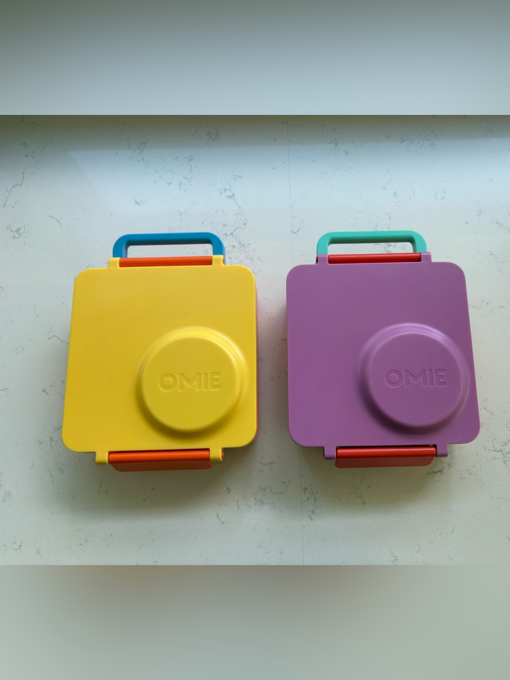 2 Kids Bento Lunchboxes